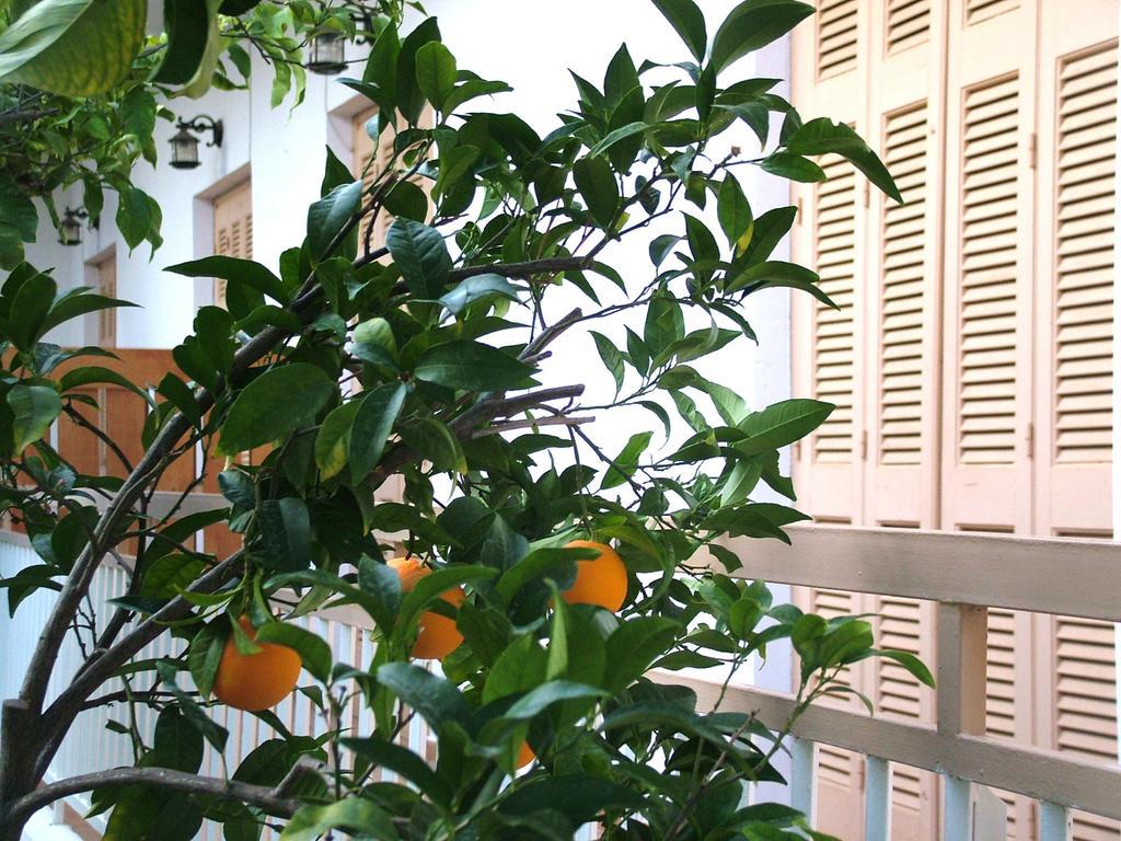 George'S Apartment Agia Marina  Zimmer foto