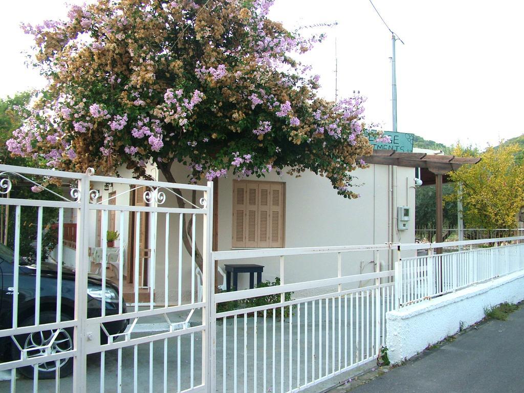 George'S Apartment Agia Marina  Zimmer foto